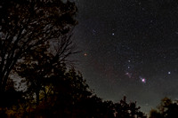 Constellation: Orion