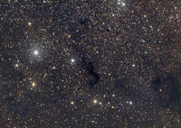 Dark Nebula