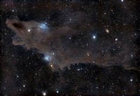 LDN 1235 - The Dark Shark Nebula