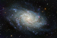 Messier 33 - The Triangulum Galaxy