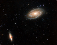 Bode's Galaxy (M81)