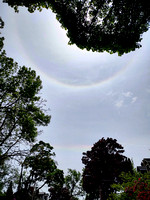 46 Degree Halo (or Supralateral Arc)
