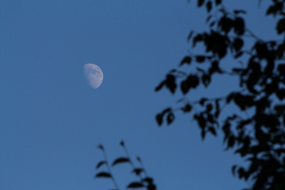 15 - Waxing gibbous moon