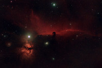 The Horsehead Dark Nebula