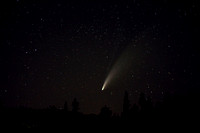 20 Comet