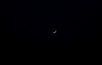 Venus Crescent (snapshot)