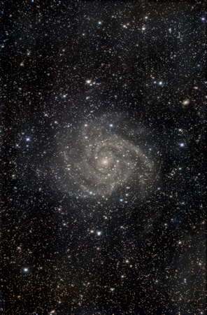 Spiral Galaxy IC342