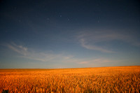 13-Big_Dipper_+_Fields of Wheat_sm
