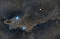 12 Dark Nebula LDN 1235 Shark