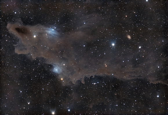 LDN 1235 - The Dark Shark Nebula