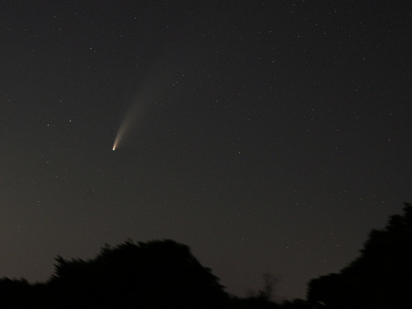 Comet Neowise