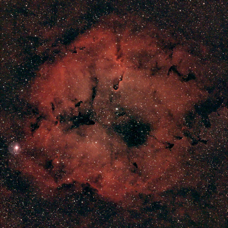 Elephant Trunk (IC1396)