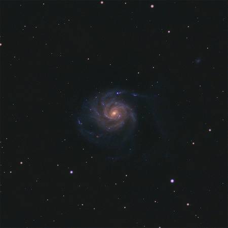 Pinwheel-Galaxy-(M101)-with-Supernova-SN-2023ixf