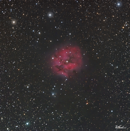 Cocoon Nebula