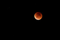 Lunar Eclipse