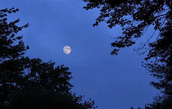 2 Moonrise Between the Fog Banks