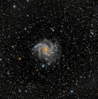 Spiral Galaxy NGC6946