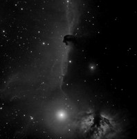 Dark Nebula B33 H-alpha