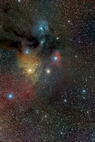 Globular Cluster RHO M4