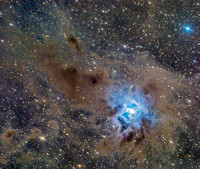 NGC7023 aka The Iris (dark) Nebula