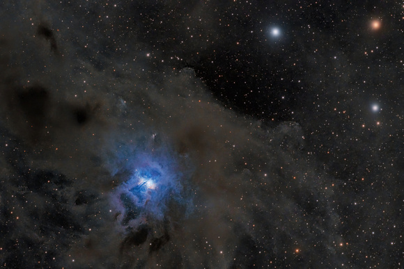 11 Dark Nebulae Surronding NGC 7023 Iris