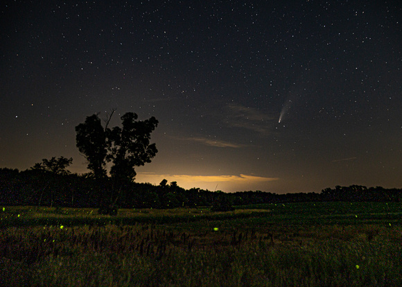 Comet Neowise at Nature Preserve