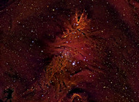 10 - NGC 2264 Christmas Tree Cluster