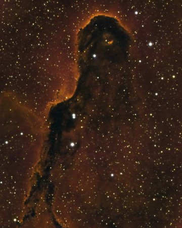 04 - IC 1369A Elephant Trunk Nebula