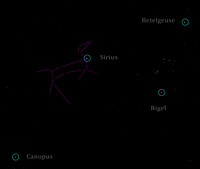 12 Constellation Canis Major