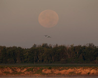 Full Moon Setting skyscape