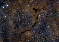 11 Seahorse Nebula